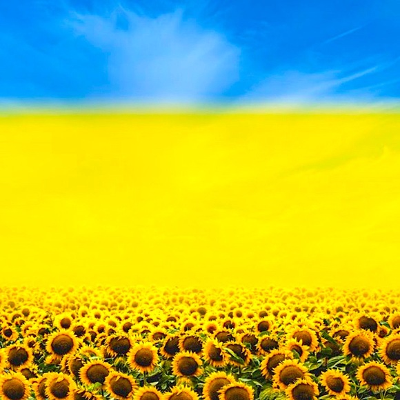 Meet your Posher, Mari - Picture 1 of 3